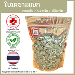 [แสนดีเภสัช] สมุนไพร ใบมะขามแขก อย่างดี