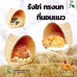 ตะกร้าสาน รังไก่ รังนก ที่นอนแมว จำนวน 1 ใบ