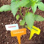 ป้ายปักชื่อต้นไม้ แพ็ค 10 ชิ้น (คละสี)