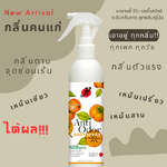 บอดี้สเปรย์ ลดกลิ่นตัวแรง กำจัดกลิ่นตัวทุกกลิ่น ทุกวัย กลิ่นจากฮอร์โมน กลิ่นคนแก่ น้องสาวมีกลิ่น จากลูกพลับญี่ปุ่น pH4 -บาลานซี่ 30+Anti Odor Body Spray