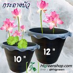 กระถางบัวสีดำ ทรงกลม ขนาด 12 นิ้ว 500 ใบ /กระสอบ