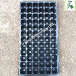 ถาดหลุมเพาะกล้าสีดำ 72 หลุม