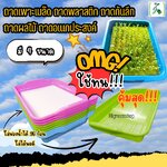 ถาดเพาะเมล็ด ถาดพลาสติก ถาดก้นลึก ถาดผลไม้ ถาดอเนกประสงค์ จำนวน 1 ใบ