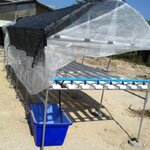 ชุดปลูกสำเร็จ NFT 240(รางเปิด) ขนาด 1.6x6 เมตร(มีหลังคา)