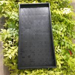 ถาดเพาะต้นอ่อนทานตะวันแบบ มีรู จำนวน 2 ถาด