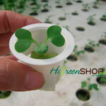 ถ้วยปลูกสีขาว 100 ใบ (ใช้ซ้ำ) เกรด A