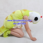 ชุดหนอนผีเสื้อ Catterpillar ชุดแฟนซีแมลงต่างๆ สำหรับการแสดง ใช้ได้ทั้งเด็กชายหญิง