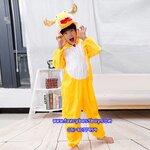 ชุดแฟนซีมังกร ชุดแฟนซีสัตว์เด็กหรือชุดมาสคอต สำหรับการแสดง ใช้ได้ทั้งเด็กชายหญิง มี ขนาด M, L, XL