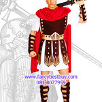 ชุดแฟนซีชุดนักรบโรมันหรือชุดนักรับกรีก รุ่นนี้มีปลอกแขนและขาอย่างละคู่ ไม่รวมดาบ ขนาดฟรีไซด์