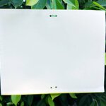 กระดาษกาวดักแมลงสองด้าน ขนาด 20x25 ซม./แผ่น