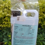 ชุดเจลล้างมือ ฆ่าเชื้อโรค (แบบไม่มีกลิ่น)