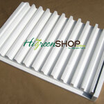 โฟมรางกลาง