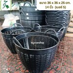 เข่งพลาสติก (14 นิ้ว / เบอร์ 5) จำนวน 1 ใบ