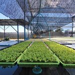 (ตัดสำเร็จพร้อมจำหน่าย) พลาสติกใส พลาสติกดำ มุ้ง สแลนด์ หน้ากว้าง 2/3/4/5/6/7 เมตร เลือกได้ตามต้องการ