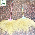 ไม้กวาดดอกหญ้า