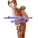 ชุดกระรอก Squirrel ชุดแฟนซีสัตว์ สำหรับการแสดง ใช้ได้ทั้งเด็กชายหญิง