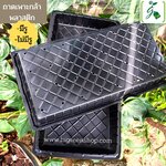 ถาดเพาะกล้าพลาสติก