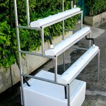 ชุดปลูก ชุด Kit ราง NFT 20ต้น ขั้นบันได