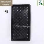 แบบมีรู