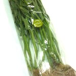 ถุงใส่ผัก ขนาด8x30นิ้ว ขนาด 1 กก.