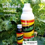 น้ำยาแช่กิ่งพันธ์สำหรับเร่งรากพืช(B1) 100cc.