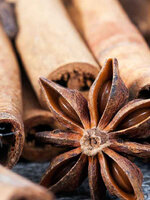 รับซื้อเครื่องเทศ | รับซื้อออริกาโน | รับซื้อปาปริก้าให้ราคาดีที่สุดกว่าทุกเจ้า รับถึงที่ จ่ายเงินสดทันที