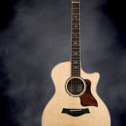 Taylor Grand Auditorium Cutaway, Mun Ebony - Natural