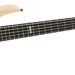 ESP LTD Deluxe B-1005 5-String Bass Natural