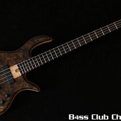 Elrick Gold E-vo 4 Bolt On Walnut Burl 5415