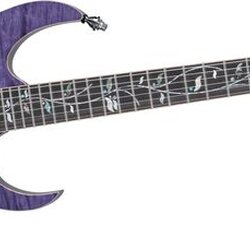 Ibanez JCRG2011 RG J Custom Electric Guitar