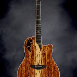 Ovation Elite Plus - African Chenchen