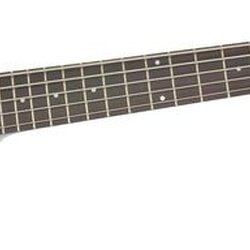 Steinberger Spirit XT-25 5-String Standard Bass