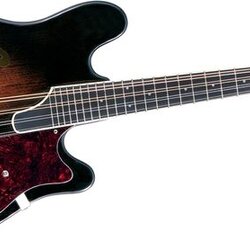 Fender Robert Schmidt Mandolin