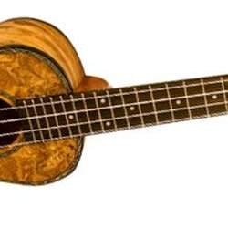 Lanikai SM-CE Limited Edition Spalted Mango Concert Acoustic-Electric Ukulele (Natural Gloss)