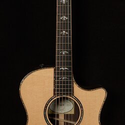 Taylor Wildwood Adirondack 914CE