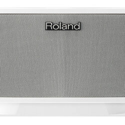 Roland CUBE Lite Monitor