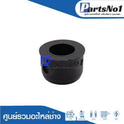 รูบู๊ชใบดำ B 21