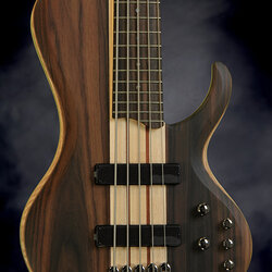 Ibanez BTB685SC Terra Firma with Bartolini Pickups 5-String Electric Bass Guitar Natural