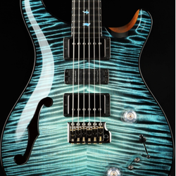 Paul Reed Smith Private Stock #9021 Special Semi-Hollow F-Hole Macassar Ebony - Sub Zero Glow
