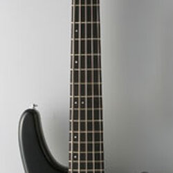 FGN Guitars STANDARD series SDR-5R/AL - Black