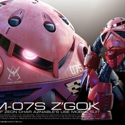 RG16 1/144 Z'gok Char Custom 2500y