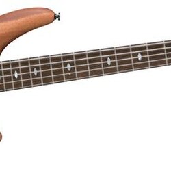 Ibanez SR4005E 5-String Electric Bass