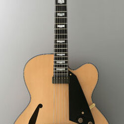 FGN Guitars Masterfield series MFA-FP - Jazz natural