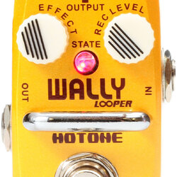 Hotone Skyline Wally Looper Pedal