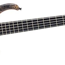 Modulus Guitars Quantum 5 5-String Electric Bass Buckeye Burl