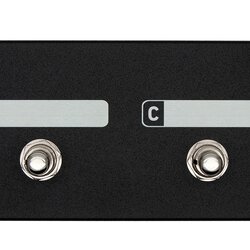 Red Panda Remote 4 Tensor Switch