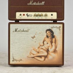 Marshall Custom Shop C5 Pin-Up Stack