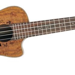 aNueNue Lani II Koa Concert Cutaway Electric Ukulele