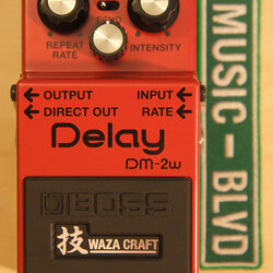 Boss Delay Waza Craft DM-2W Guitar Effects Pedal
