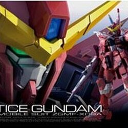 RG09 1/144 9 Justice Gundam 2500y